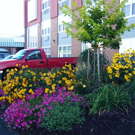 Claymore Inn And Suites Antigonish Dış mekan fotoğraf
