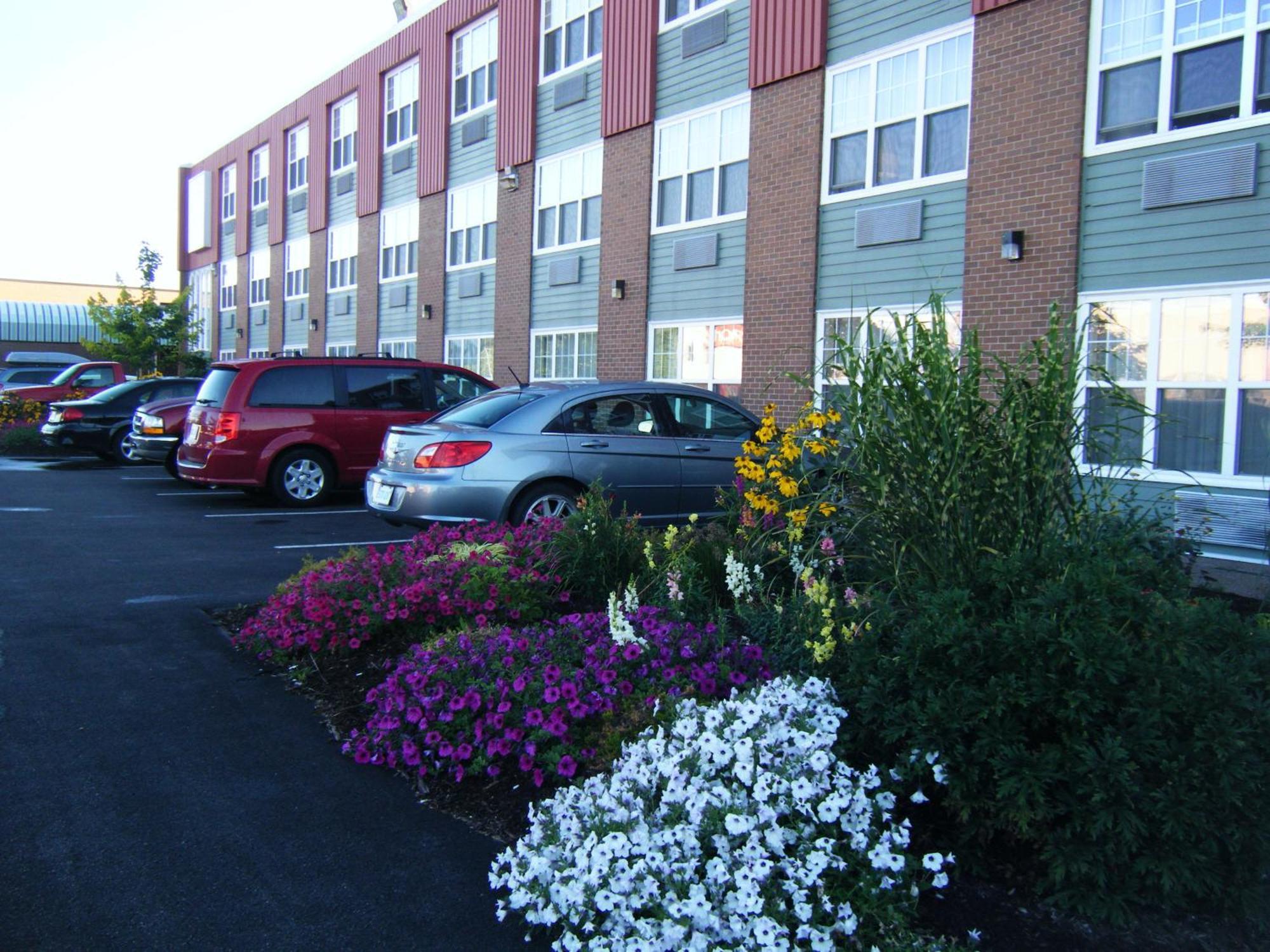 Claymore Inn And Suites Antigonish Dış mekan fotoğraf